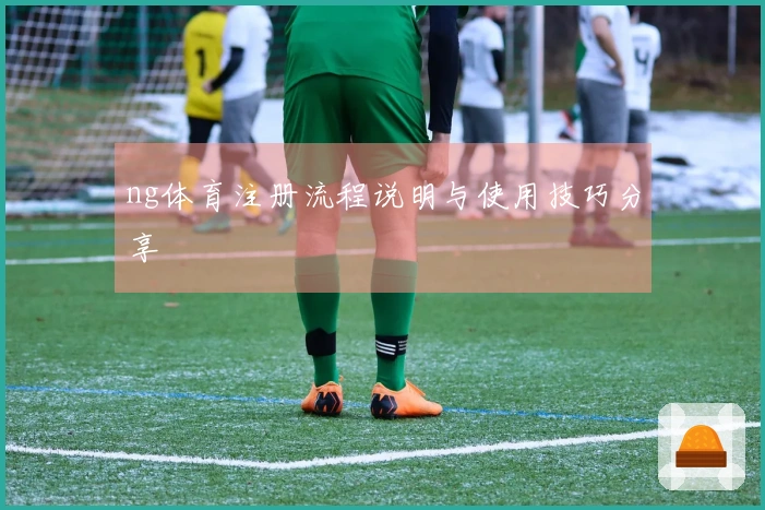 ng体育注册流程说明与使用技巧分享