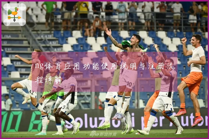 ng体育应用功能使用说明与注册流程详解