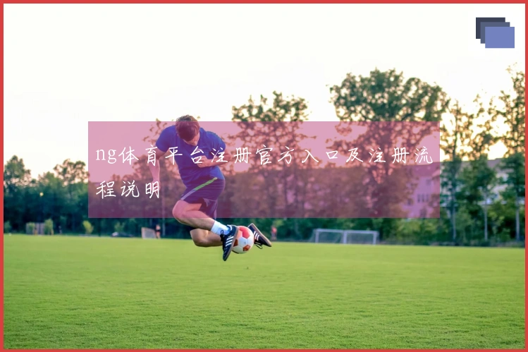 ng体育平台注册官方入口及注册流程说明