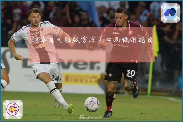 ng体育电脑版官方入口及使用指南
