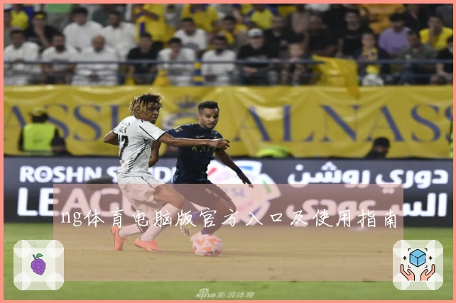 ng体育电脑版官方入口及使用指南